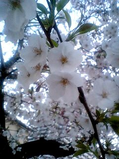 090402_1823~0001.jpg