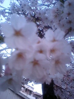090402_1821~0001.jpg